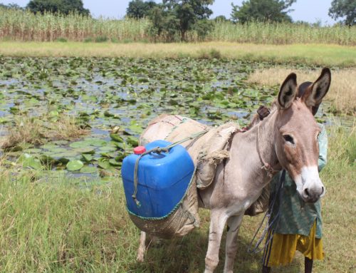 Access To Clean Water